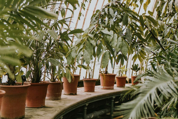 hétvégi pihenőkert