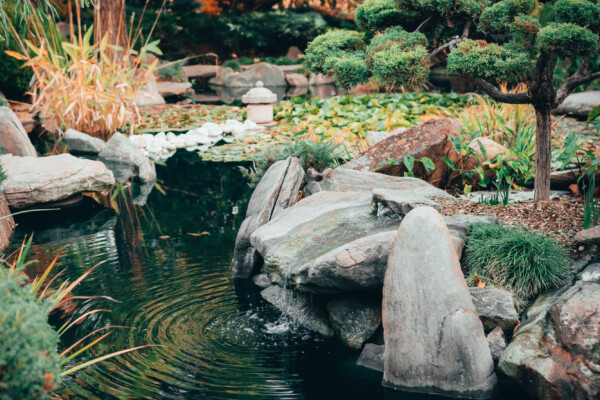 veszprémi várkert újragondolva